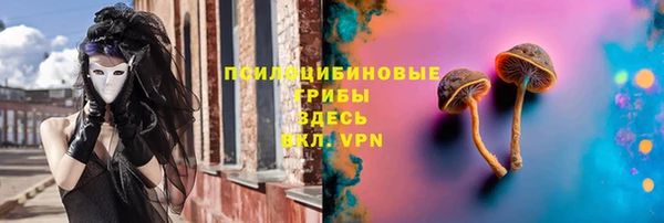 молекула духа Баксан