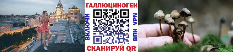 Галлюциногенные грибы Psilocybine cubensis Сысерть
